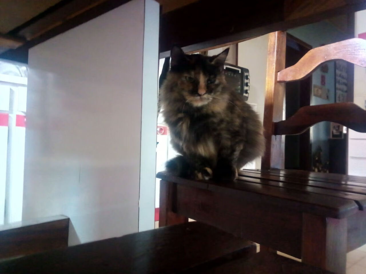 双城记,当伊蒂哈德的风吹过沈阳的夜