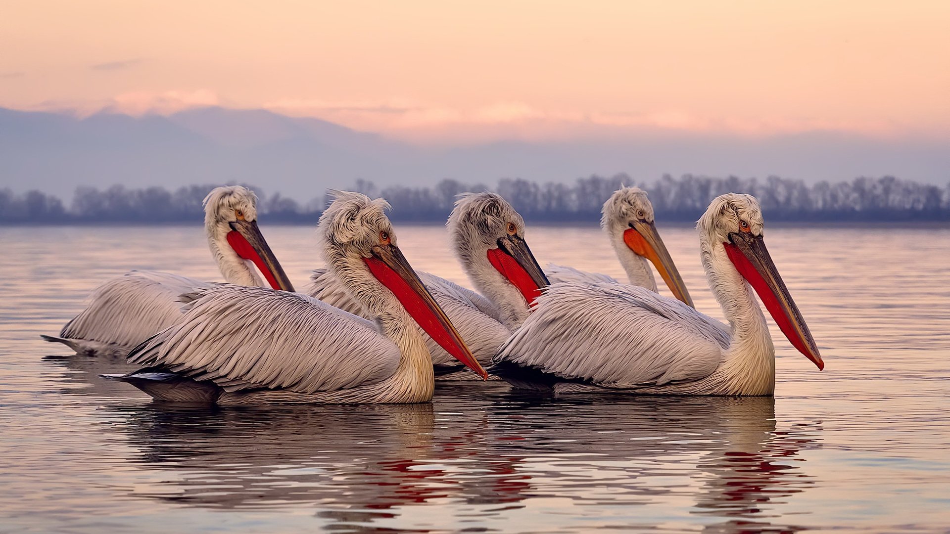 砖墙与暴风之王，当浙江队的铁律遇见米切尔的孤勇