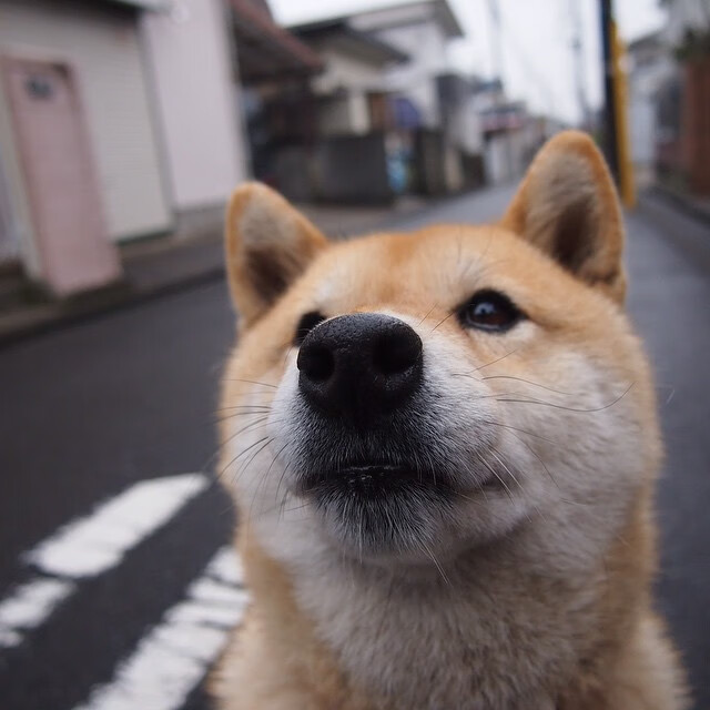 逆转之王!黄喜灿末节神级接管,佛罗伦萨式奇迹再现绿茵场
