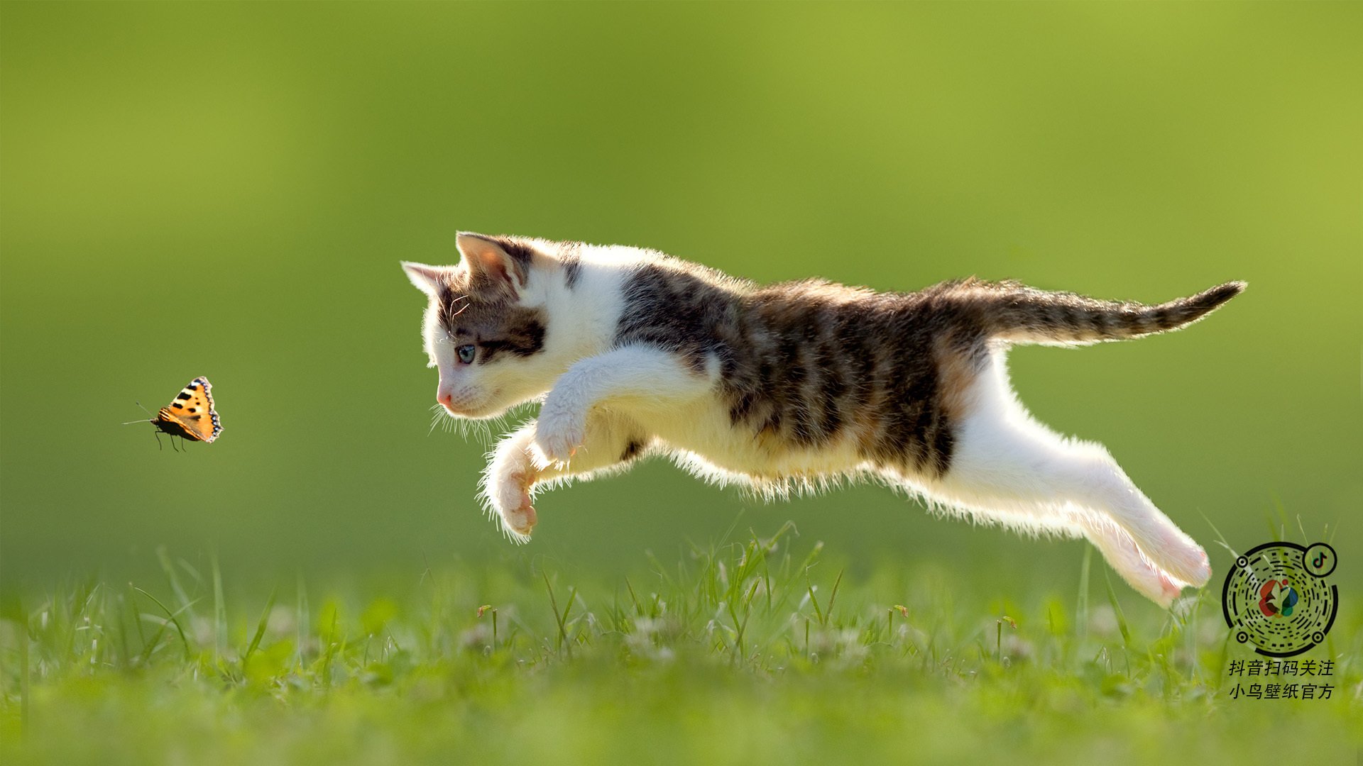 铁闸与引擎,卡塞米罗一役定义全场最佳的终极内涵