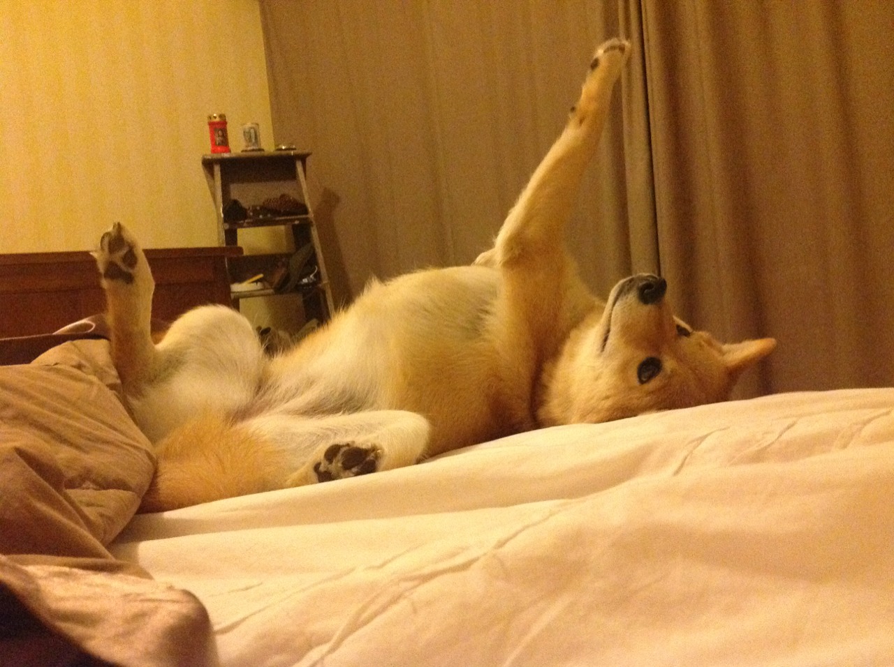 东方不亮西方亮，英超争冠焦点战与雄鹿险胜辽宁队的竞技启示