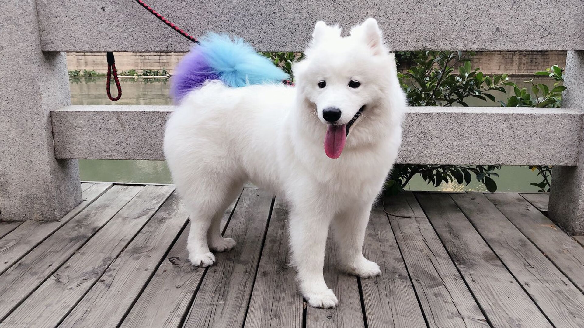 43小时与9.2秒,体育的剧本之美