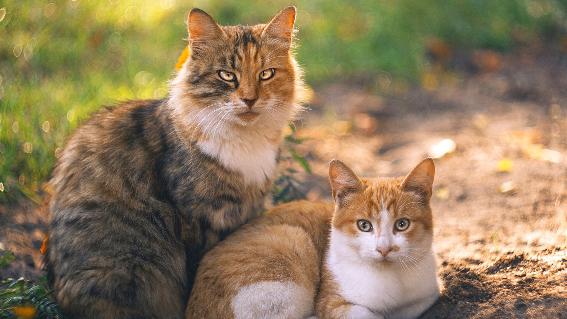 寒冰与烈焰,冰岛黑马冲垮贝蒂斯,莫德里奇再证传奇本色