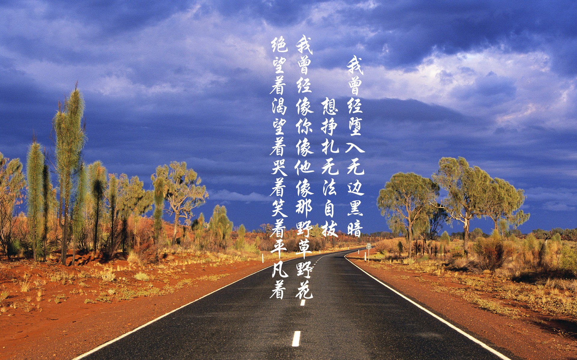 开云sport-王座之争暗夜利刃，卡瓦哈尔关键回合不手软，终铸年度焦点之战传奇