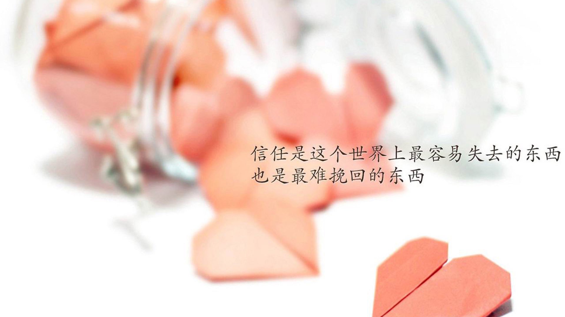 平行宇宙的篮球盛宴，当约基奇遇见双绿大战