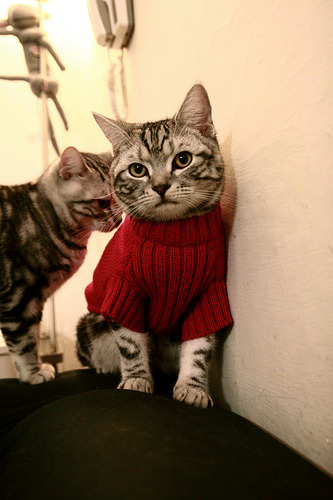 卡塞米罗关键一击定乾坤，卡塔尔火力全开压制南非夺胜