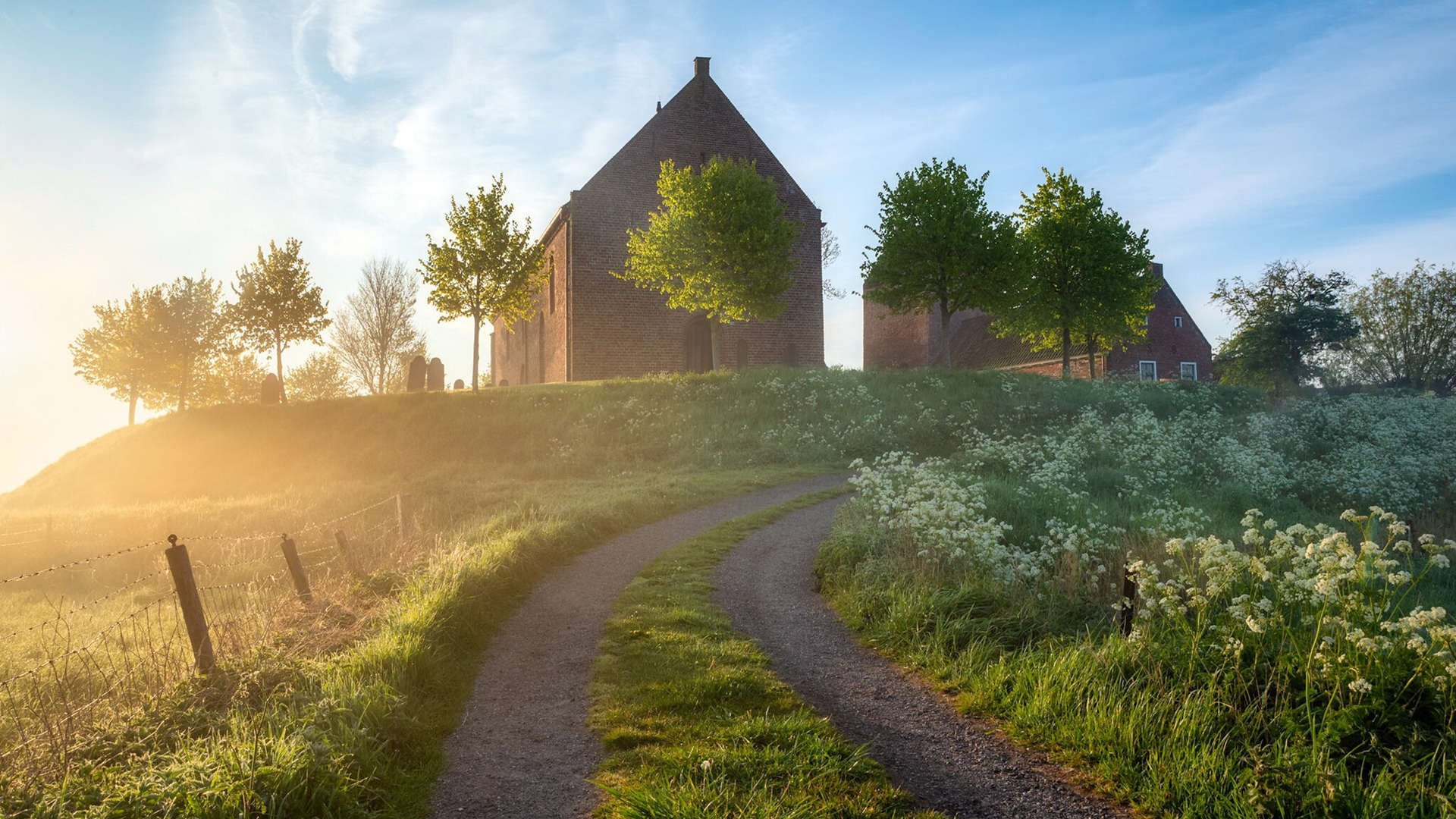 年度焦点之战,丹麦一锤定音,苏格兰梦碎赛场—一场改写命运的足球对决