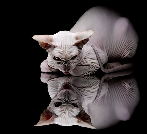 新星燎原与南美风暴，当加克波点燃未来，乌拉圭重铸足球哲学