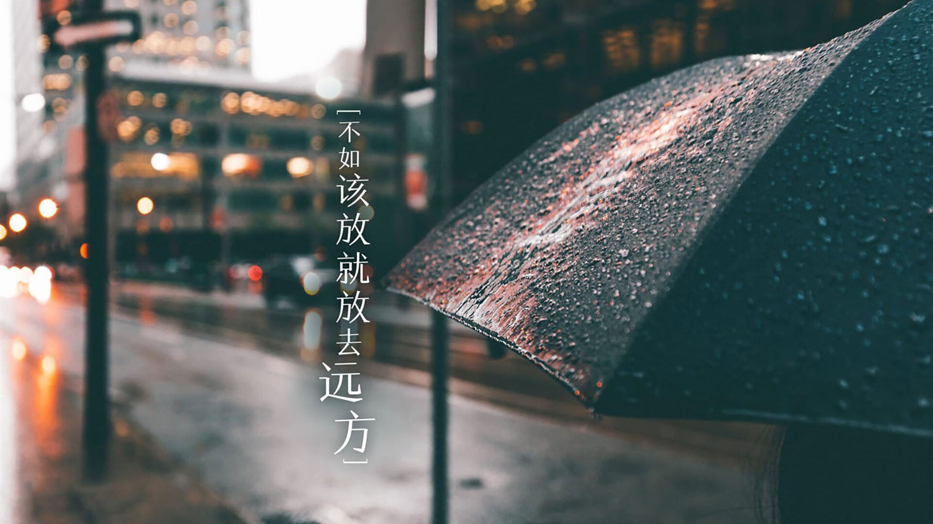 二十年轮回，当太极虎逆写悲情剧本，齐耶赫的孤勇成为最璀璨的注脚
