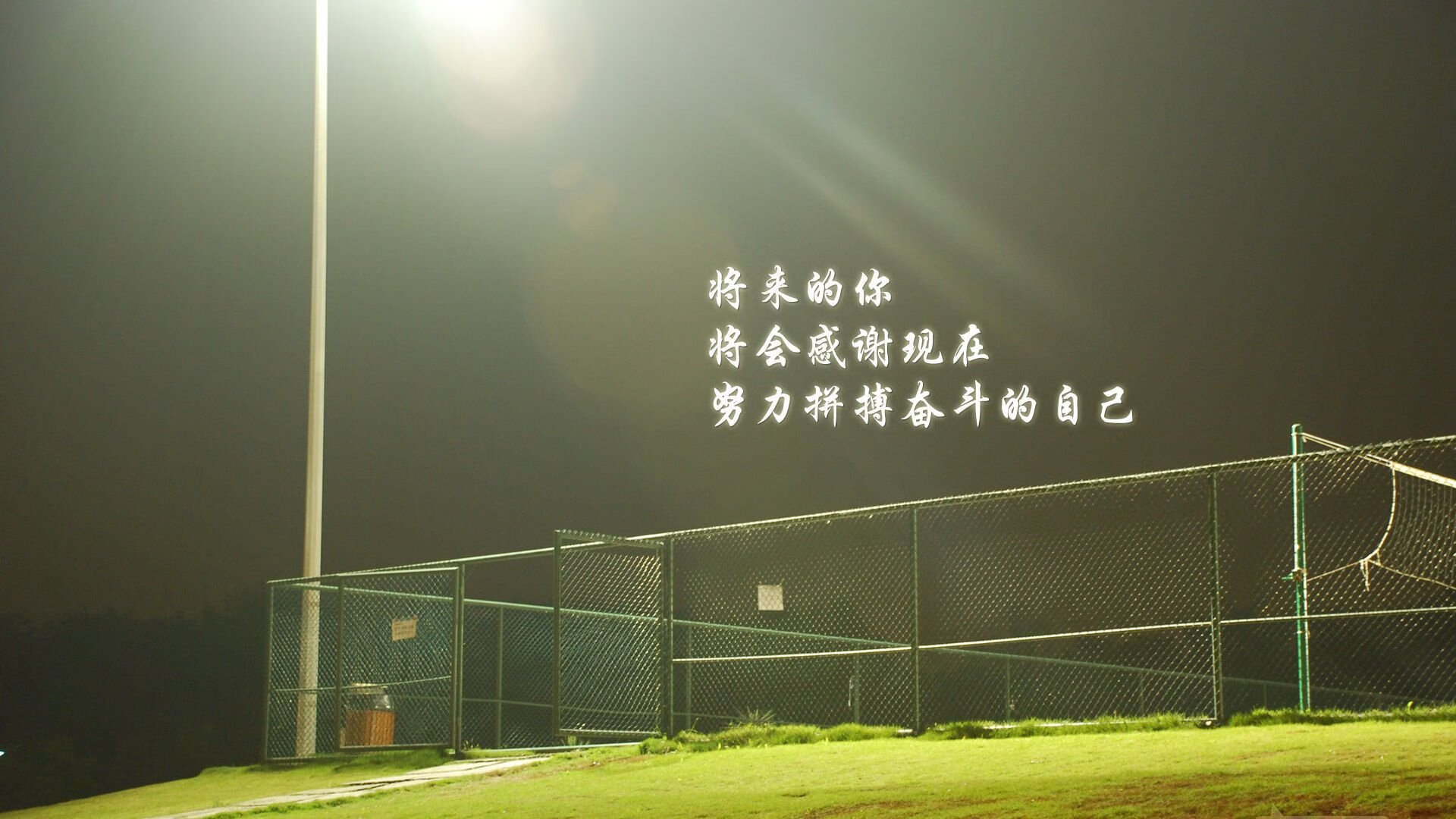 绿洲的怒放,当底格里斯雄狮颠覆欧陆秩序—解构2026世界杯E组那场唯一的东方风暴