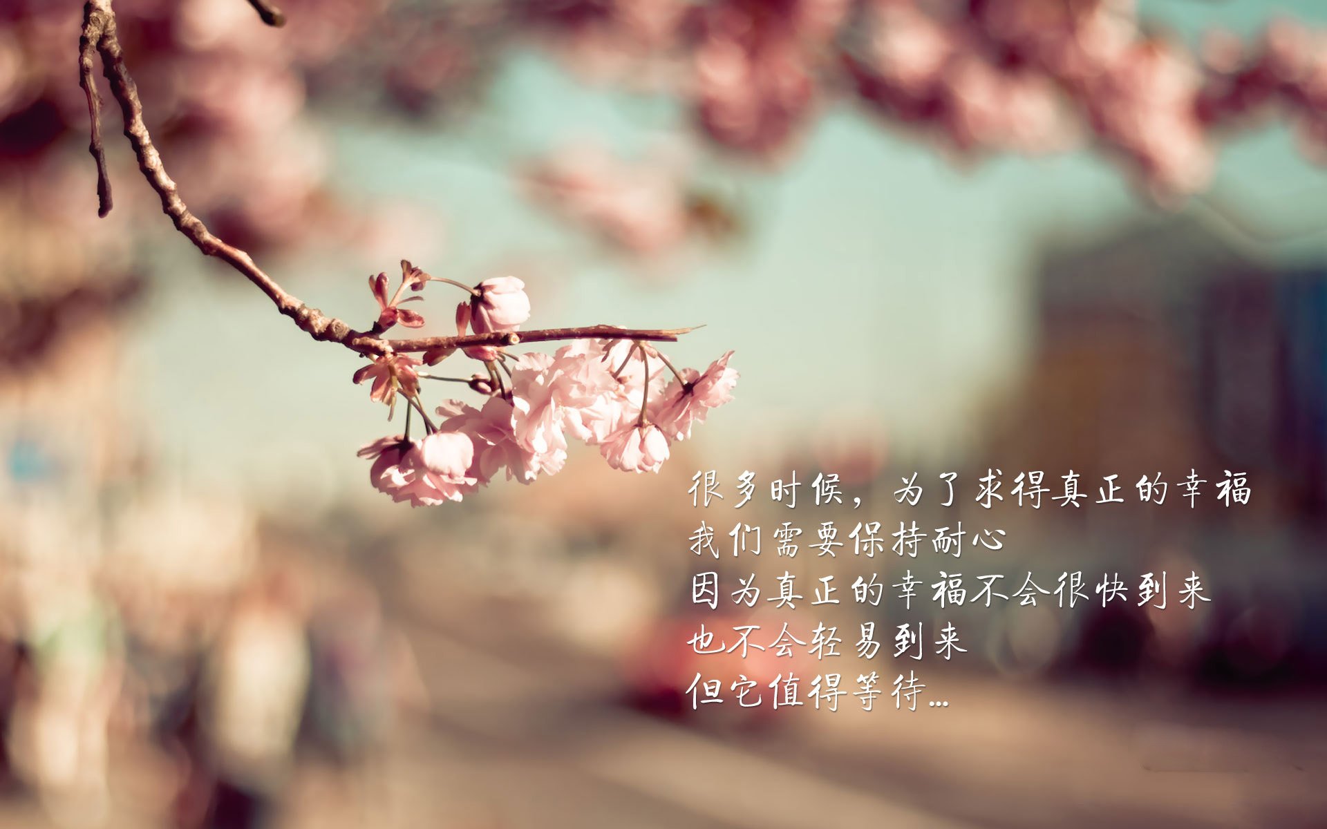 孤独的盛宴，当巴雷拉在C组风暴眼，为秘鲁刻下唯一的图腾